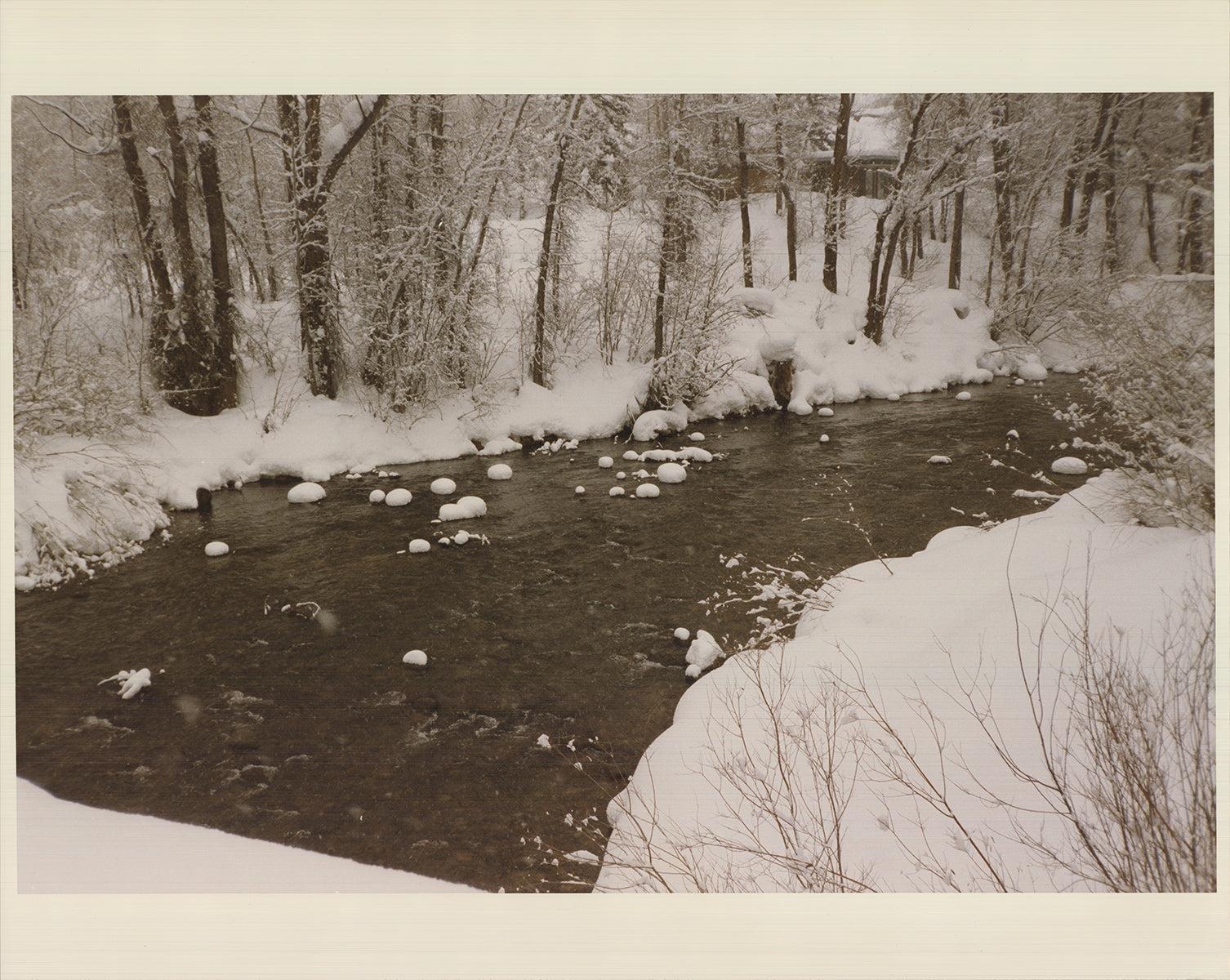 Evelyn H. Lauder 'Snow Marshmallows' 1991- Signed - Print by Unknown