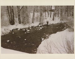 Evelyn H. Lauder 'Snow Marshmallows' 1991- Signed
