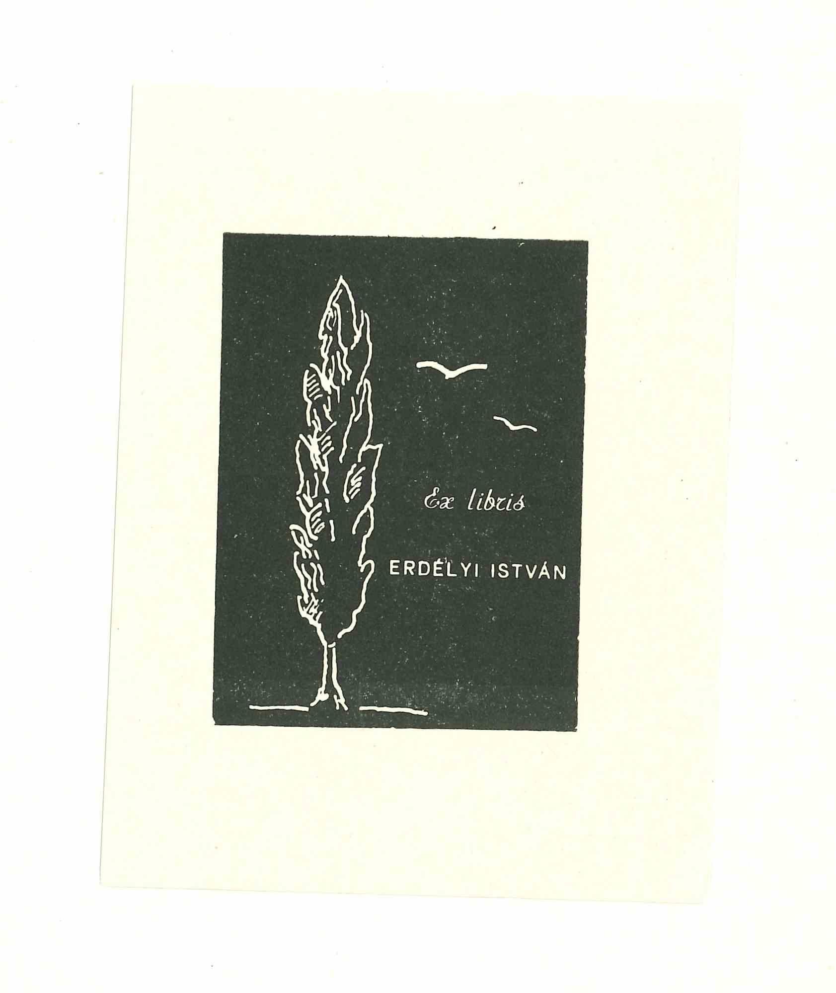 Ex Libris Istvan - Xilografia originale - Anni '70