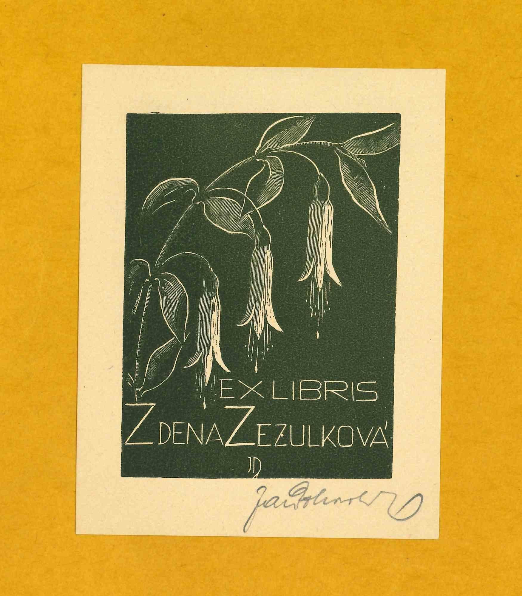 Unknown Landscape Print - Ex Libris Zdena Zezulkova - Original Woodcut - 1970s