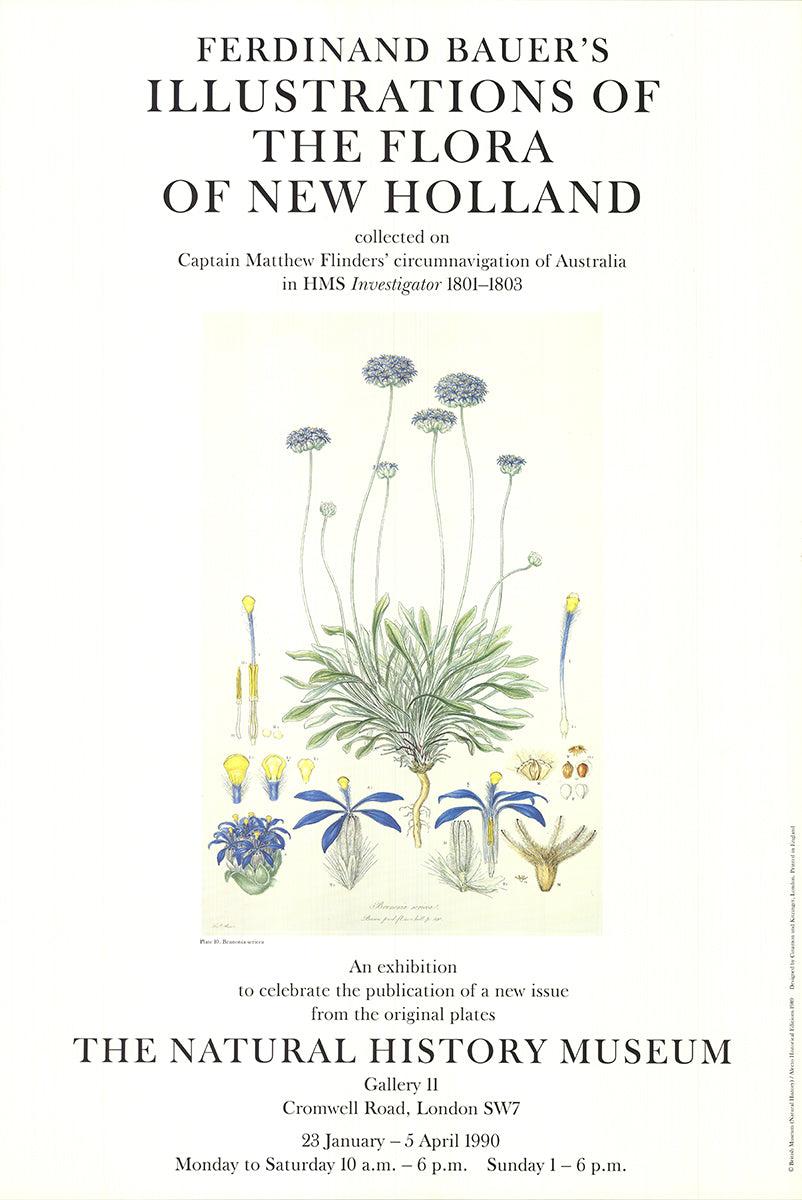 Ferdinand Bauer 'Illustrations of the Flora of New Holland' 1990 - Print by Unknown