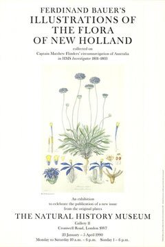 Vintage Ferdinand Bauer 'Illustrations of the Flora of New Holland' 1990