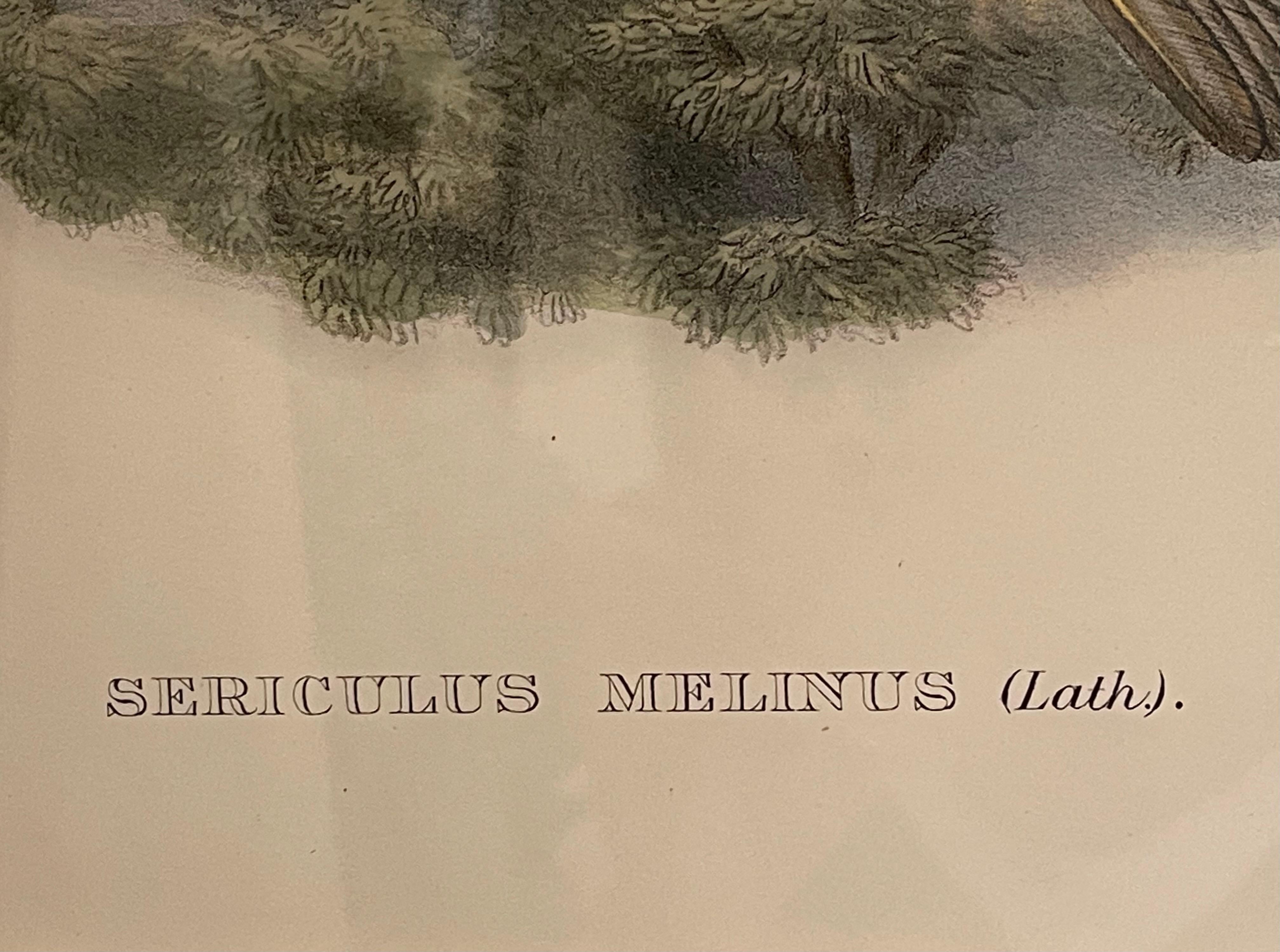 Fine Pair of Wonderfully Framed Lithographs For Sale 10