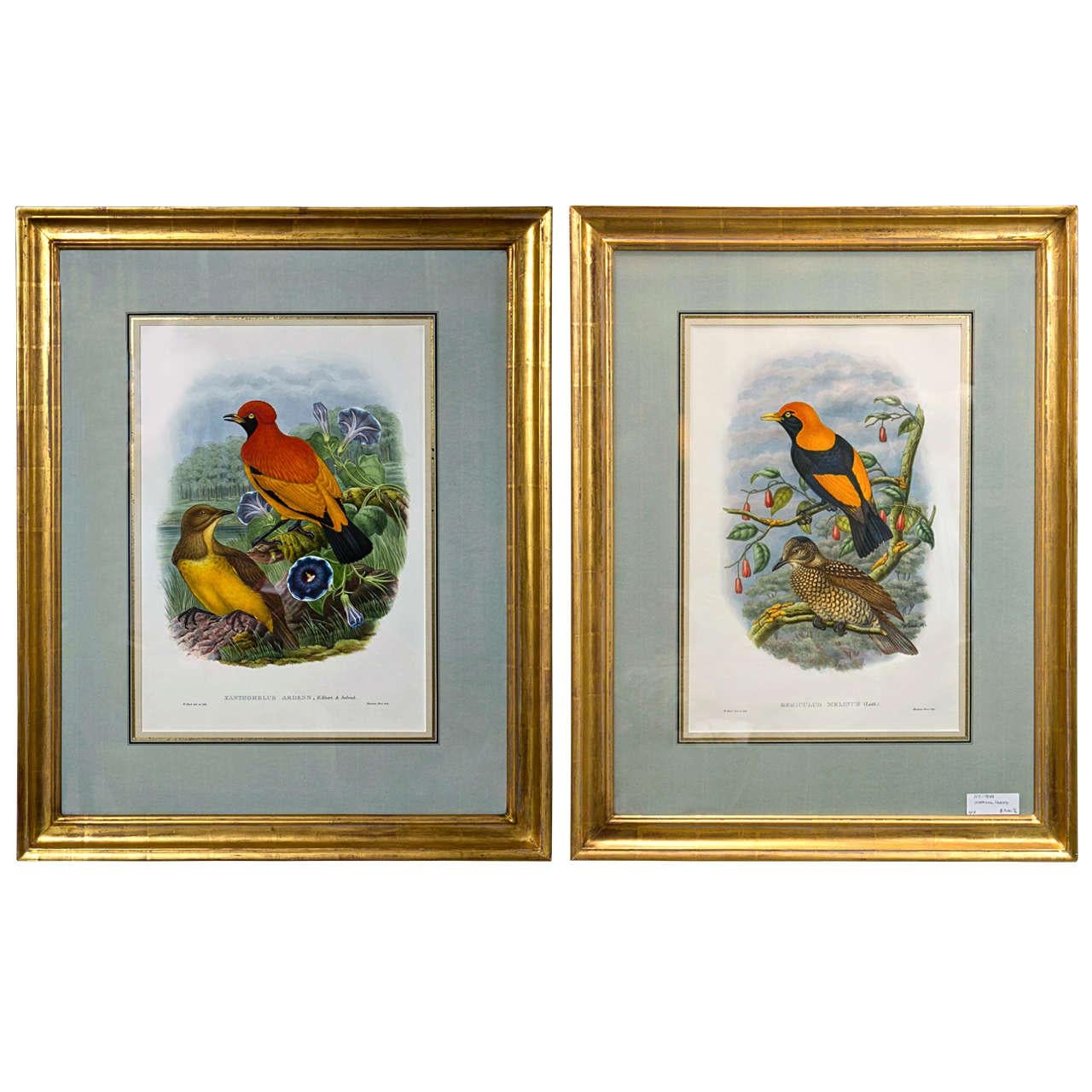 Fine Pair of Wonderfully Framed Lithographs - Print by Unknown
