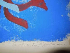 Flight of Sea-Birds: Twilight