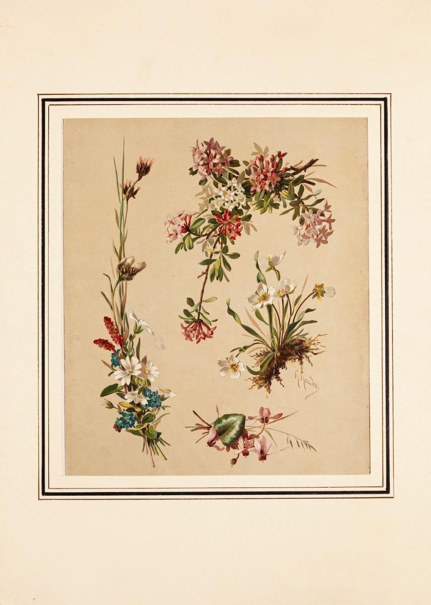 Flowers - Original Cromolitograph - Early 20th Century