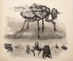 Fly and Smaller Insects from A Bestiary, Modern Lithograph by Aubrey Schwartz