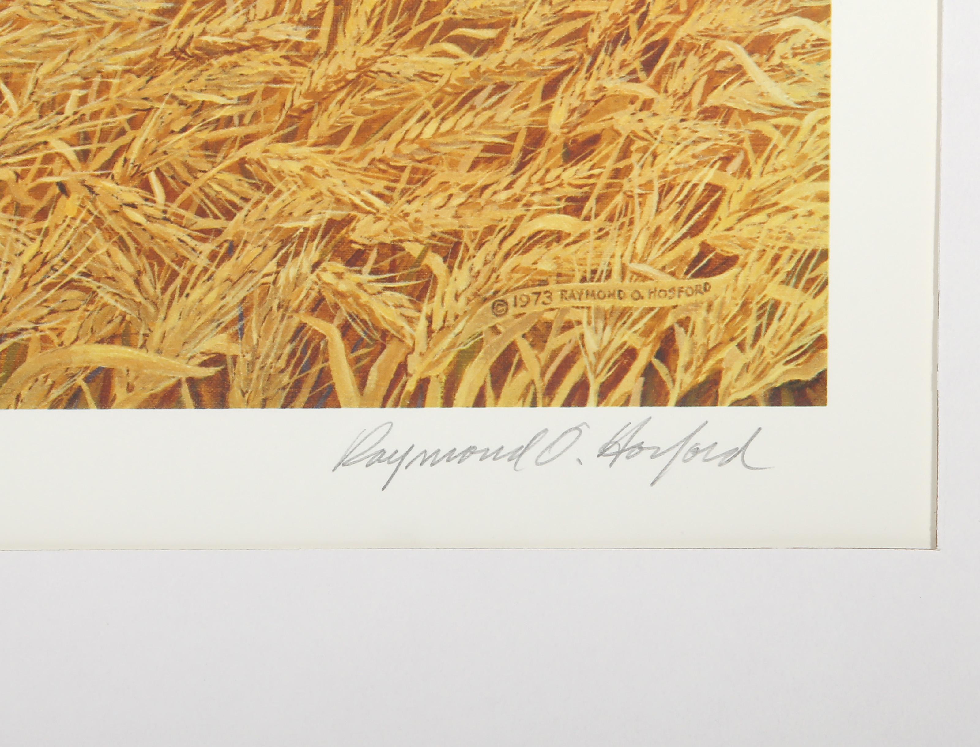 For Amber Waves of Grain, Photorealist Lithograph by Raymond Hosford For Sale 4