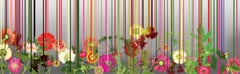 Forager Series: 18042, 9/2016, Print by Lisa Stefanelli, 2016