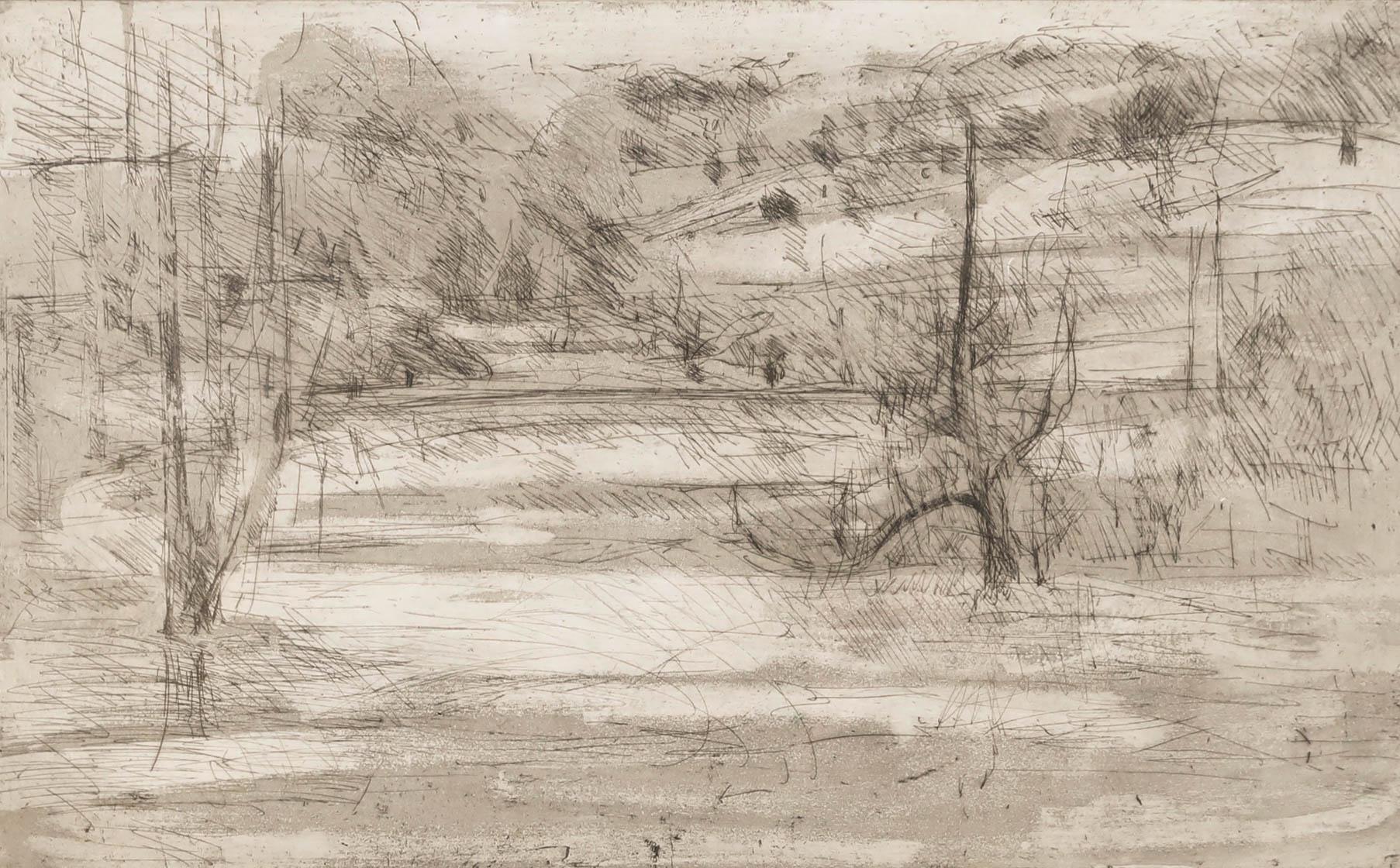 Framed 20th Century Etching - Abstract Pond Study - Print by Unknown