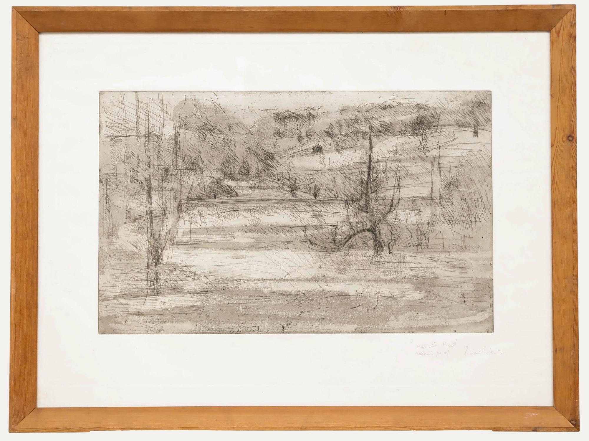 Unknown Landscape Print - Framed 20th Century Etching - Abstract Pond Study