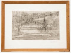 Framed 20th Century Etching - Abstract Pond Study