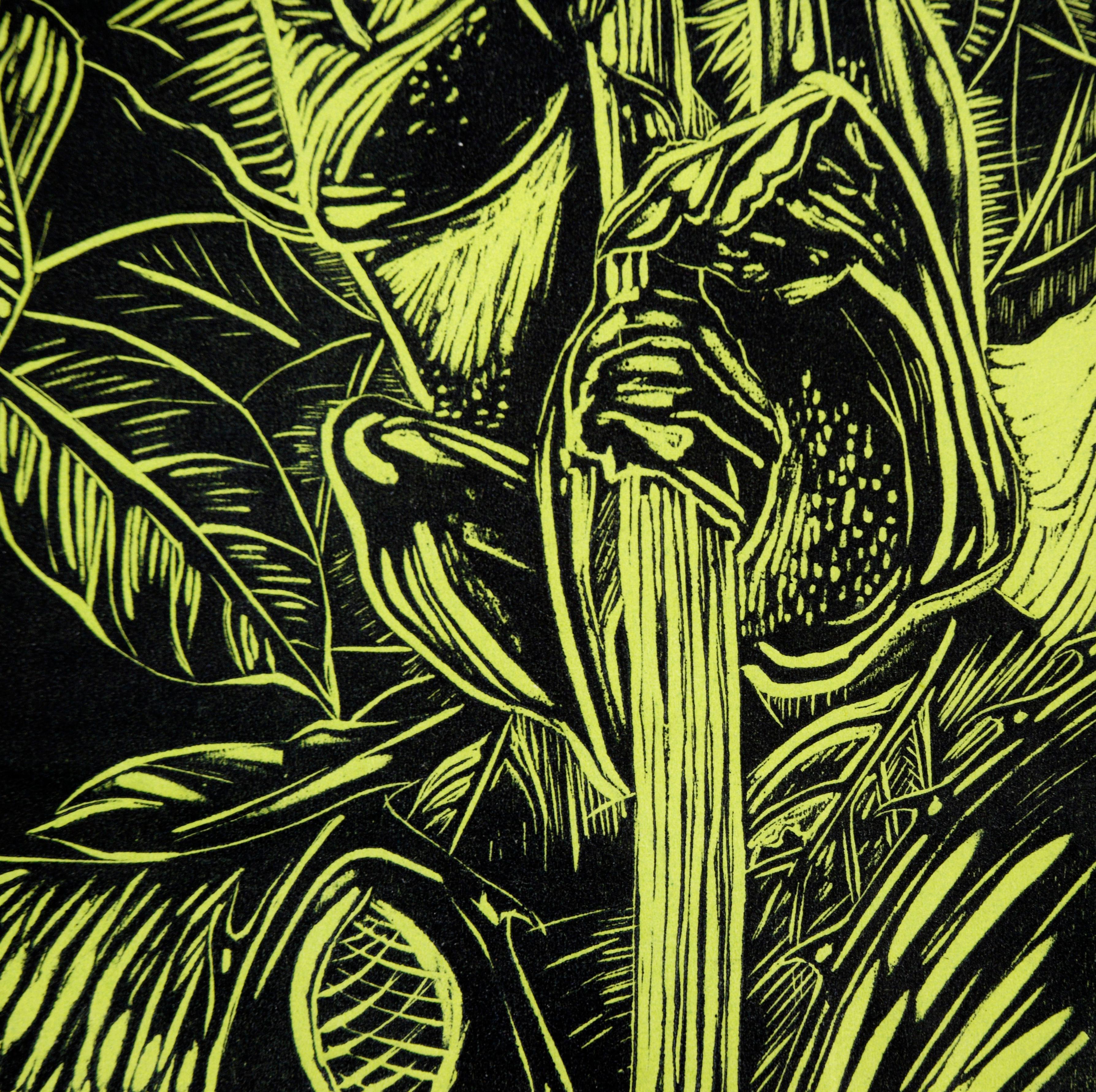 Bold linocut proof print by an unknown artist (20th Century). A green-yellow underlayer shows through a bold black top layer, creating a strong contrast of highlights and shadows. A tree frog climbs up a stalk in the middle of the jungle. There are