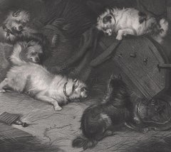 Pratica completa. Cani terrier. Incisione mista del XIX secolo, circa 1865