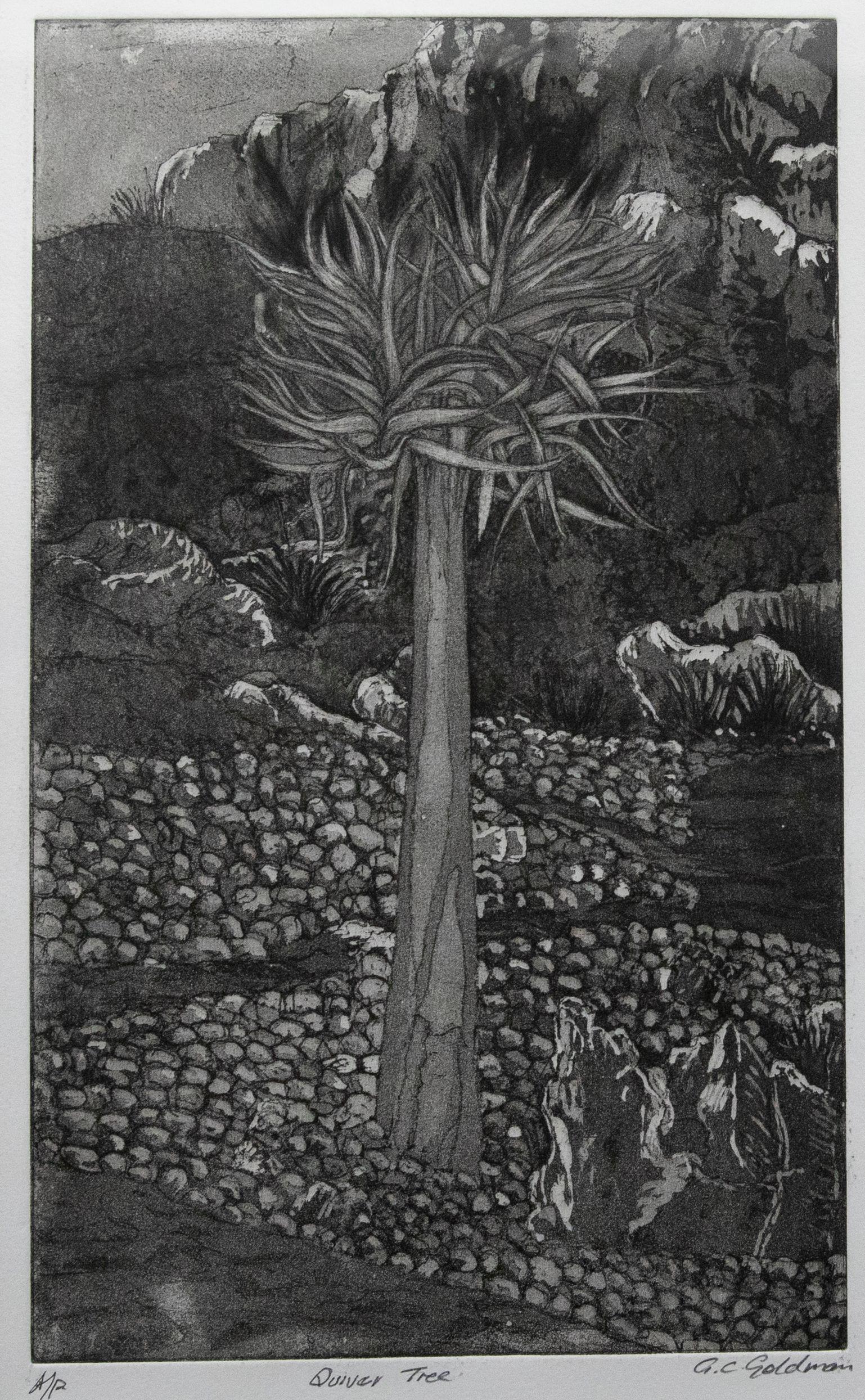 G. C. Goldman - Framed Contemporary Aquatint, Quiver Tree - Print by Unknown