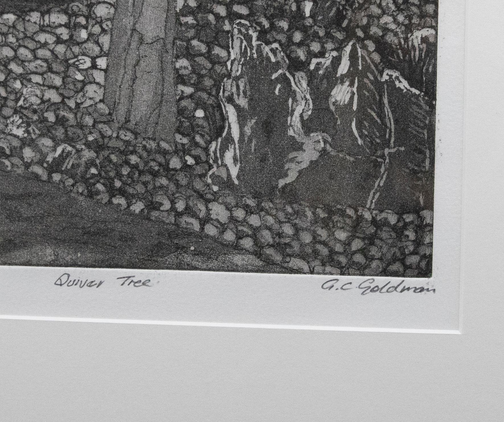 G. C. Goldman - Framed Contemporary Aquatint, Quiver Tree For Sale 1