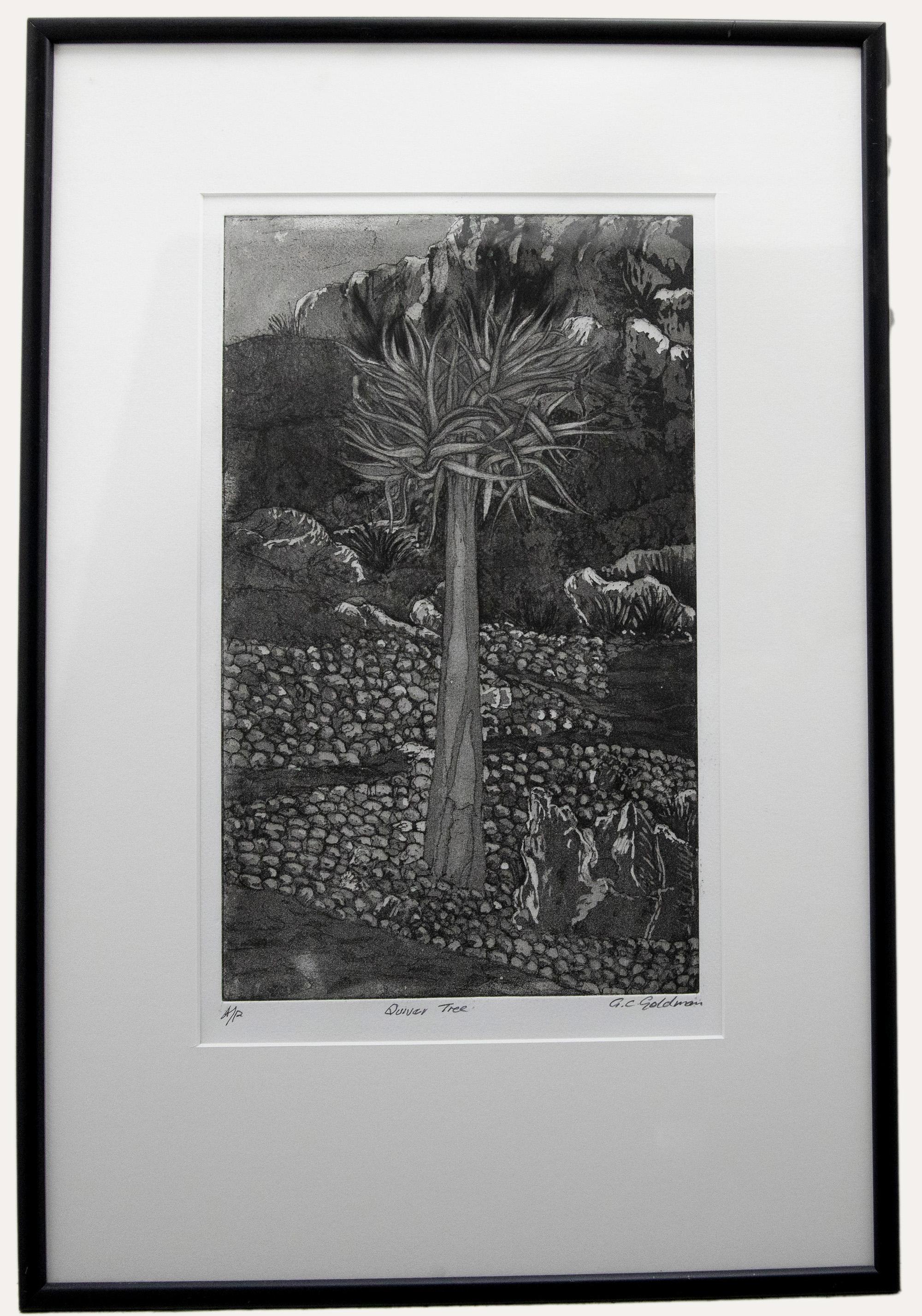 Unknown Landscape Print - G. C. Goldman - Framed Contemporary Aquatint, Quiver Tree