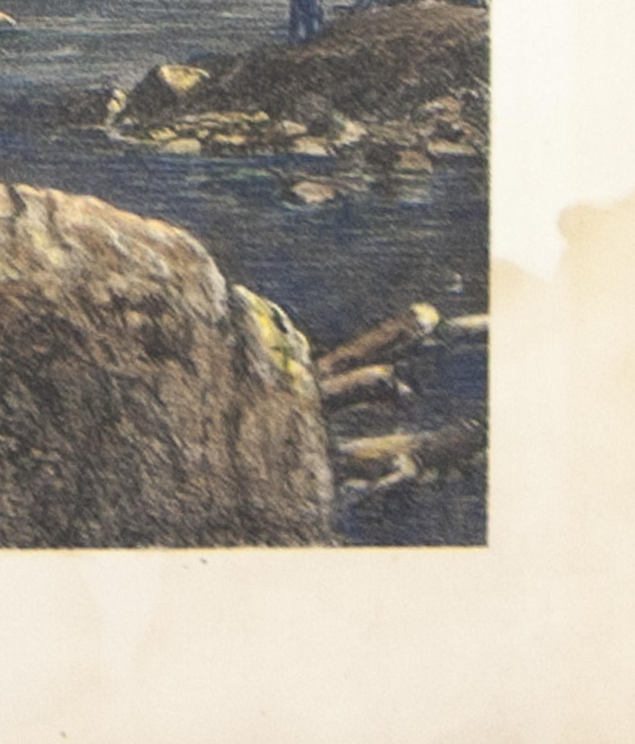 Cascadas Gibbon, Parque Nacional de Yellow-Stone - Figurative Print Gris de Unknown