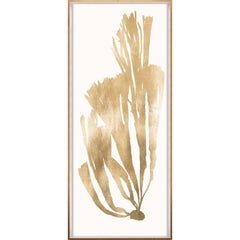 Gold Leaf Seaweeds, No. 4, unframed
