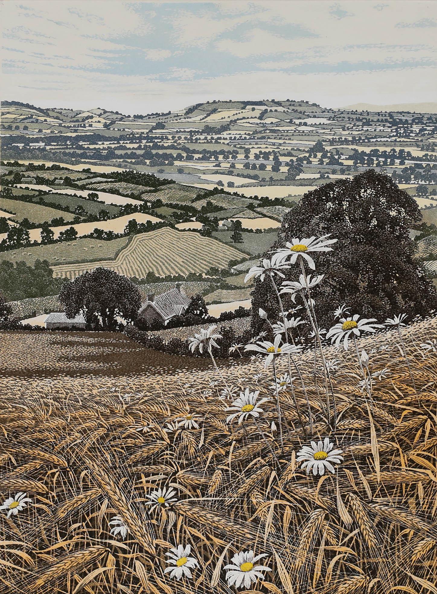Graham Evernden (b.1947) - Contemporary Etching, Valley Farm - Print by Unknown