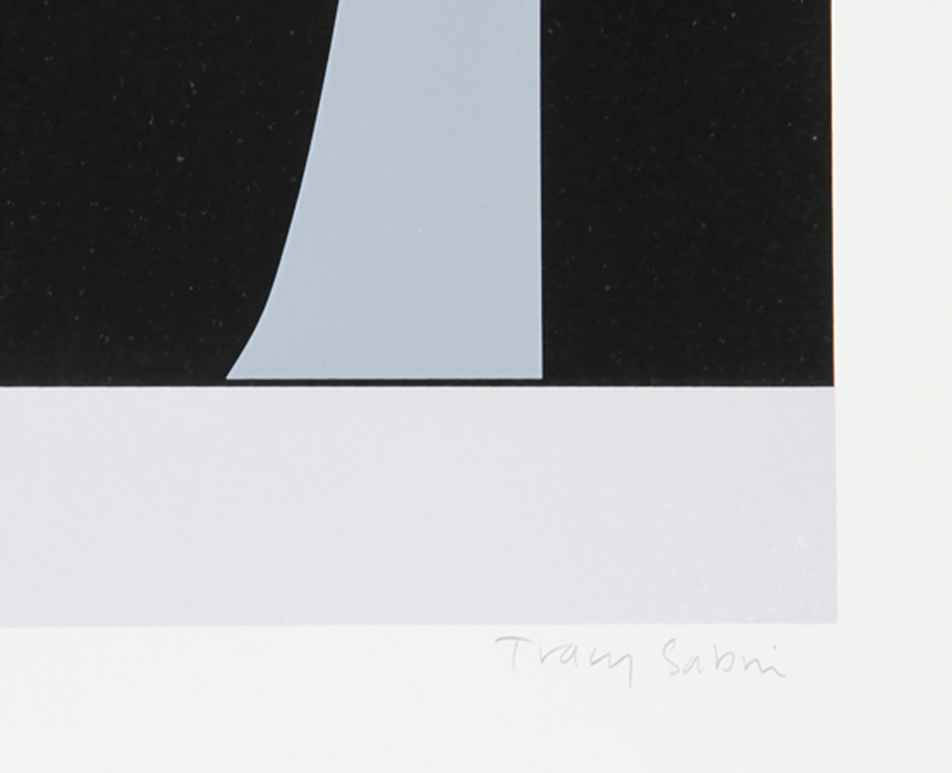 Grey Cat, Pop Art Screenprint by Tracy Sabin For Sale 2