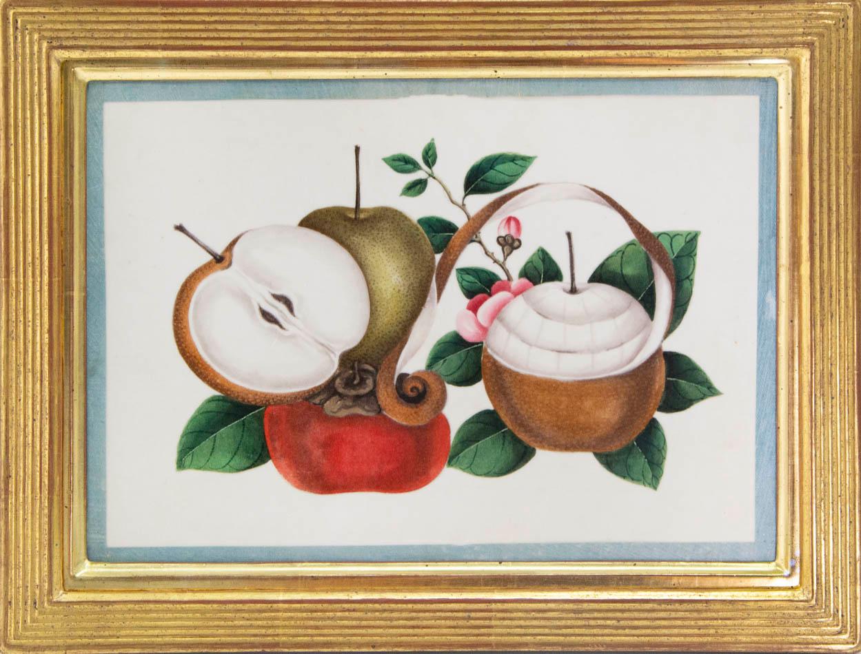 Group of Eight Exotic Fruit. - Print by Unknown