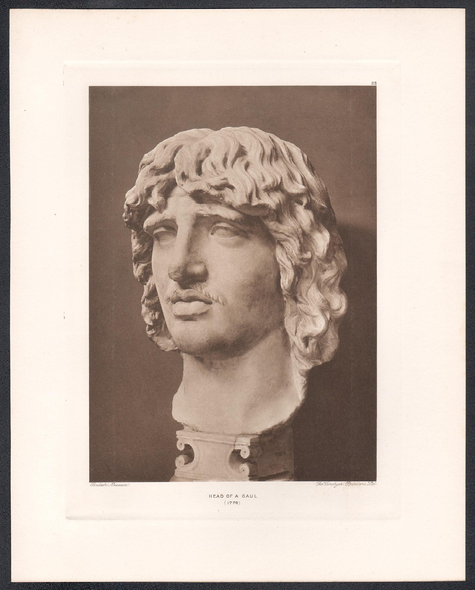 Cabeza de un galo, fotograbado de escultura clásica romana del Museo Británico - Print de Unknown