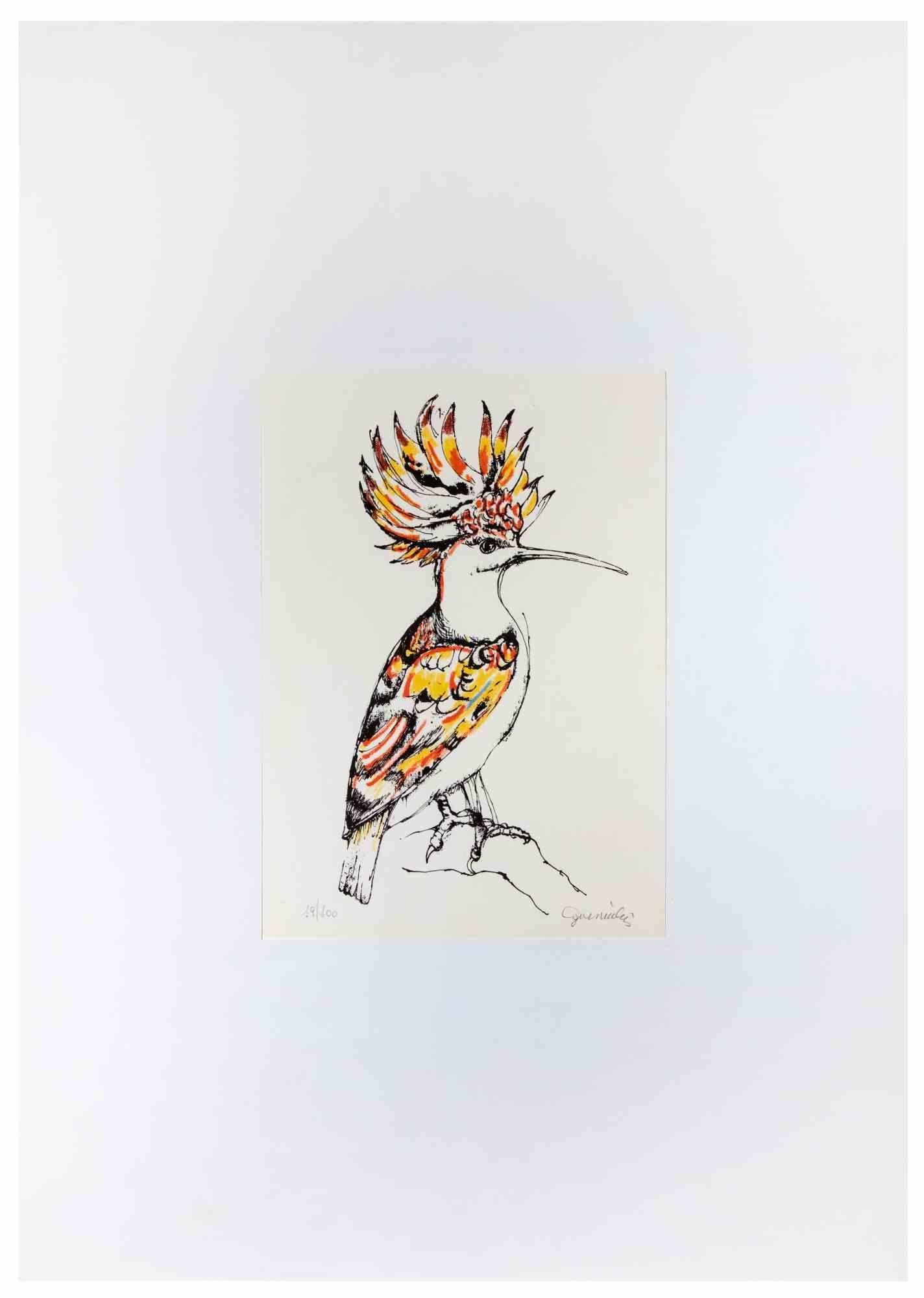 Unknown Animal Print - Hoopoe - Lithograph -  Late 20th century