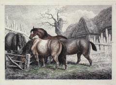 Horses Antique Print