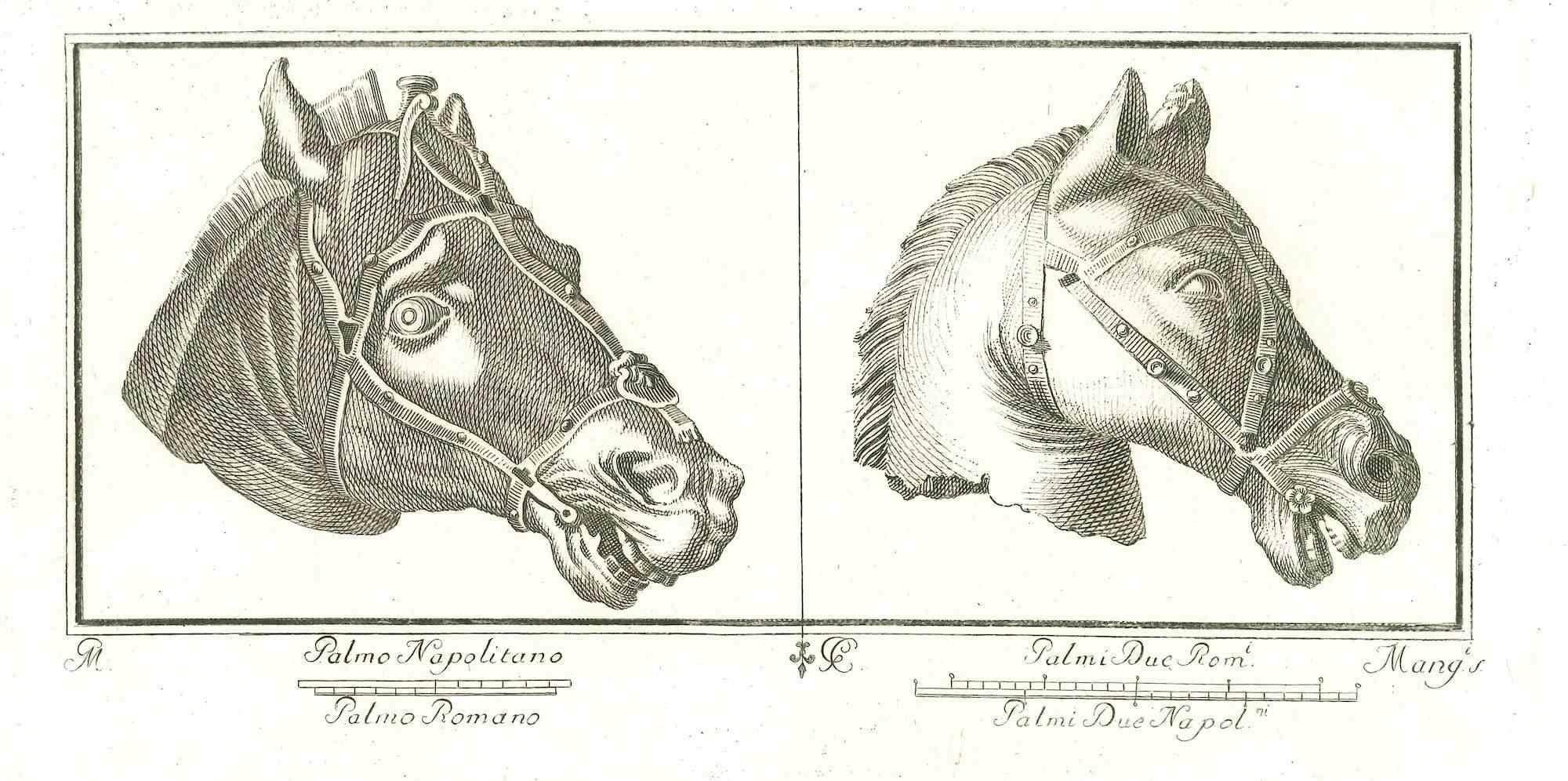 Unknown Animal Print – Pferdeköpfen – antike römische Basreliefs – Original-Radierung – 18. Jahrhundert