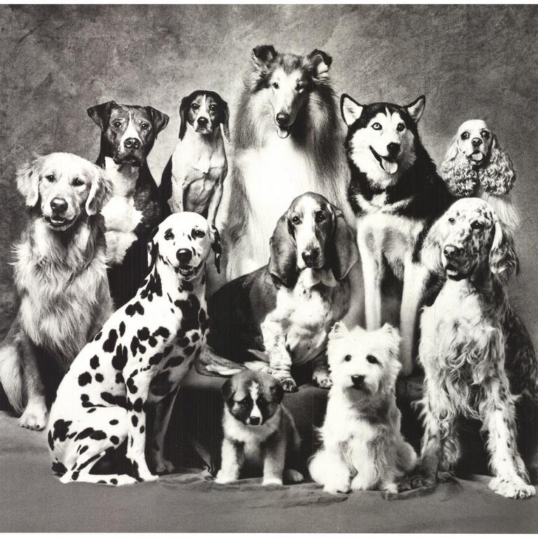 Paper Size: 23 x 22 inches ( 58.42 x 55.88 cm )
 Image Size: 16.75 x 17 inches ( 42.545 x 43.18 cm )
 Framed: No
 Condition: A-: Near Mint, very light signs of handling
 
 Additional Details: Published and distributed by Graphique de France. 
 
