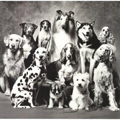 Howard Bernman 'Family of Dog' 1989- Offset Lithograph