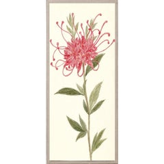 Hubbard Flowers No. 1936, giclee print, framed