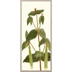 Hubbard Flowers No. 1960, giclee print, framed