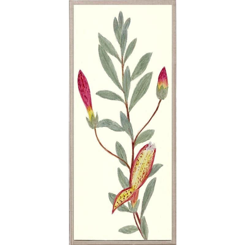 Unknown Print - Hubbard Flowers No. 568, giclee print, unframed
