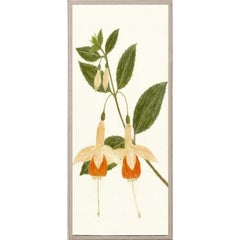 Hubbard Flowers No. 8268, giclee print, framed