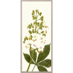 Hubbard Flowers No. 838, giclee print, framed