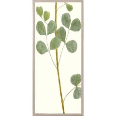 Hubbard Flowers No. 900, giclee print, framed