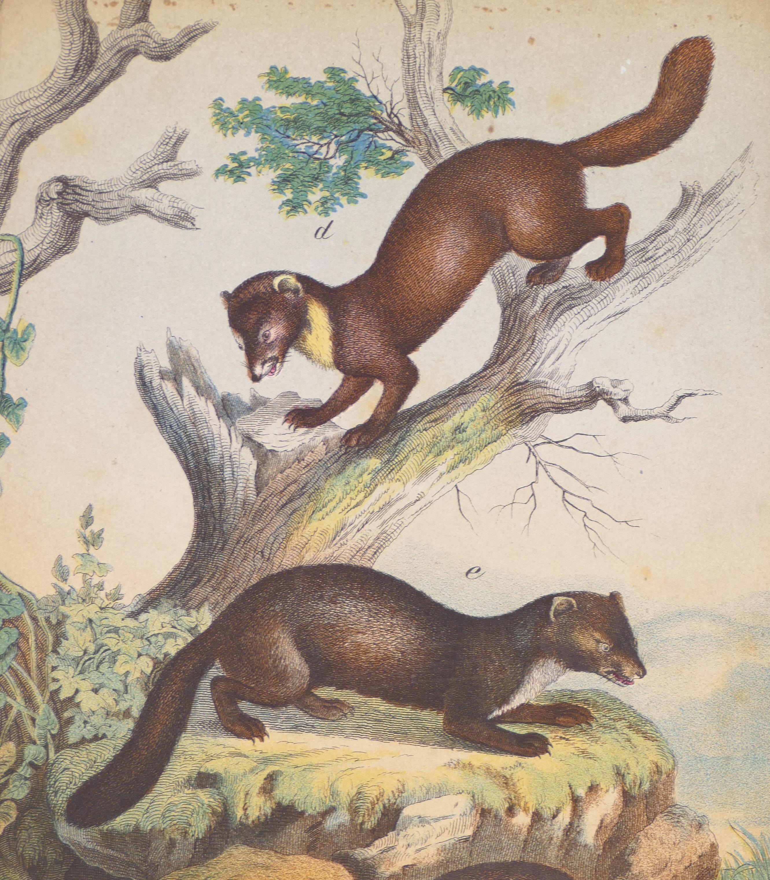 Hunting Animals - Original Lithograph - Late 19th Century - Print by Unknown