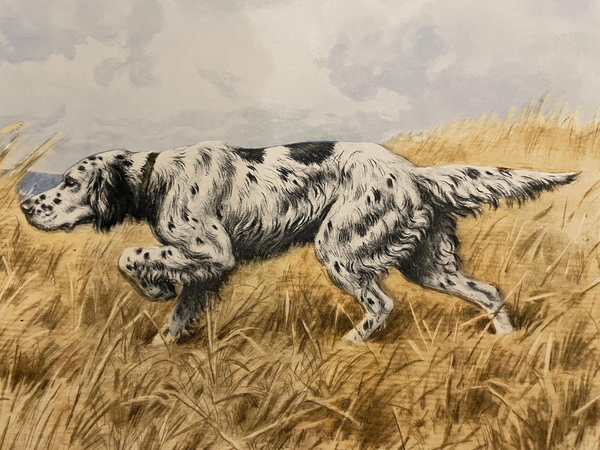 Hunting Dog speaking to a bunny 