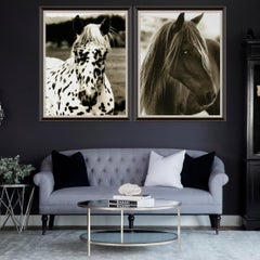 Hyden Horses: Spotted, giclee print, framed