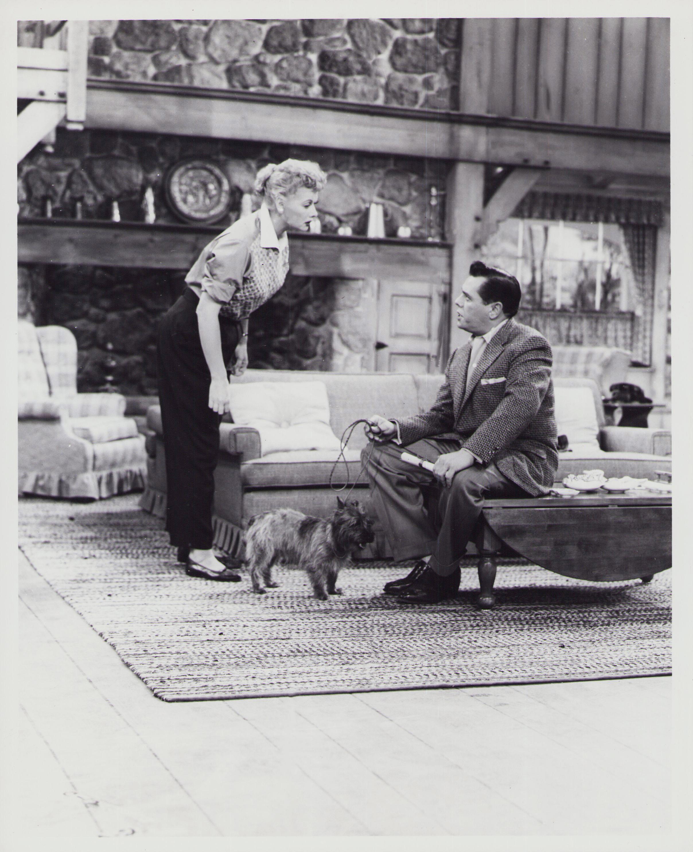 "I Love Lucy", Lobby Card, EE.UU. 1951