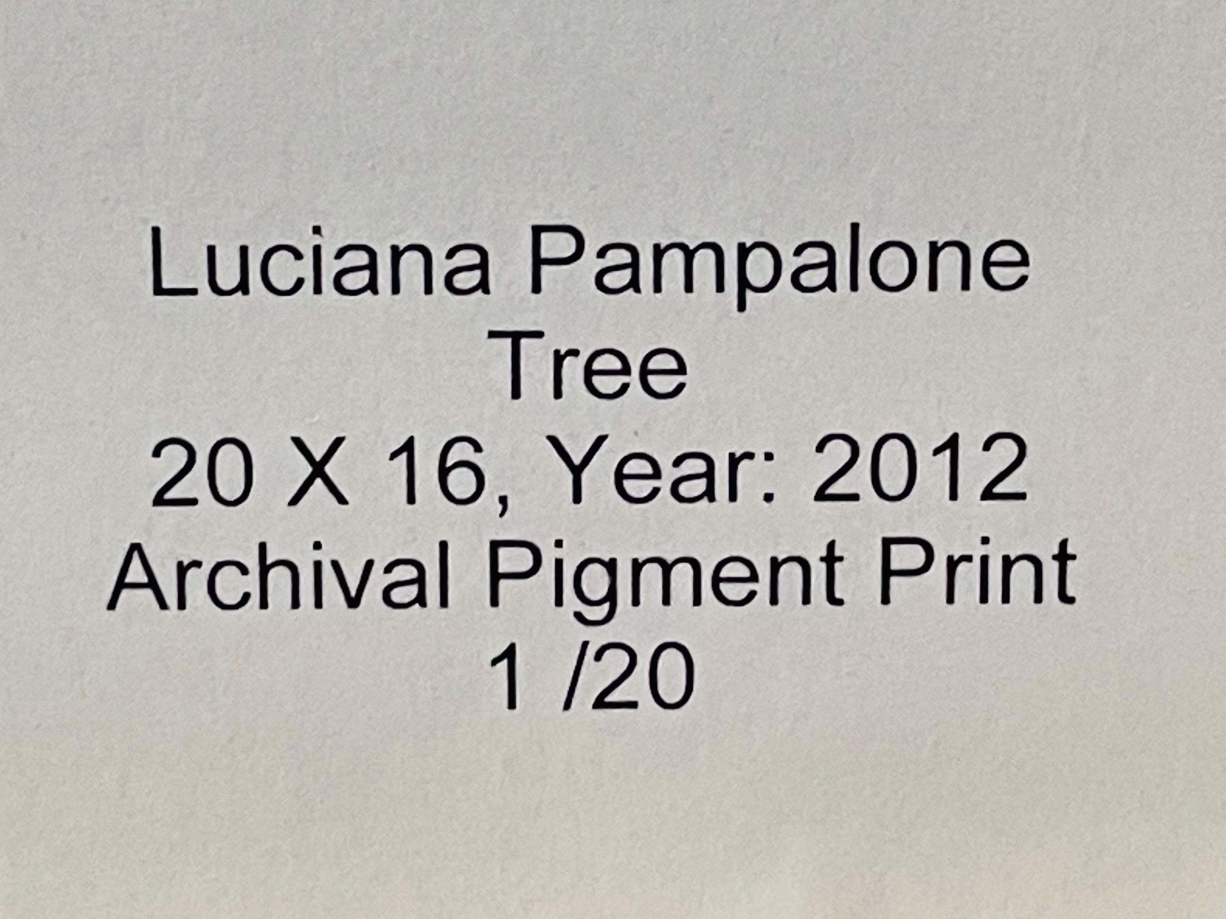 Impressionistic Photography Print of a Tree by Luciana Pampalone Limited Edition For Sale 10