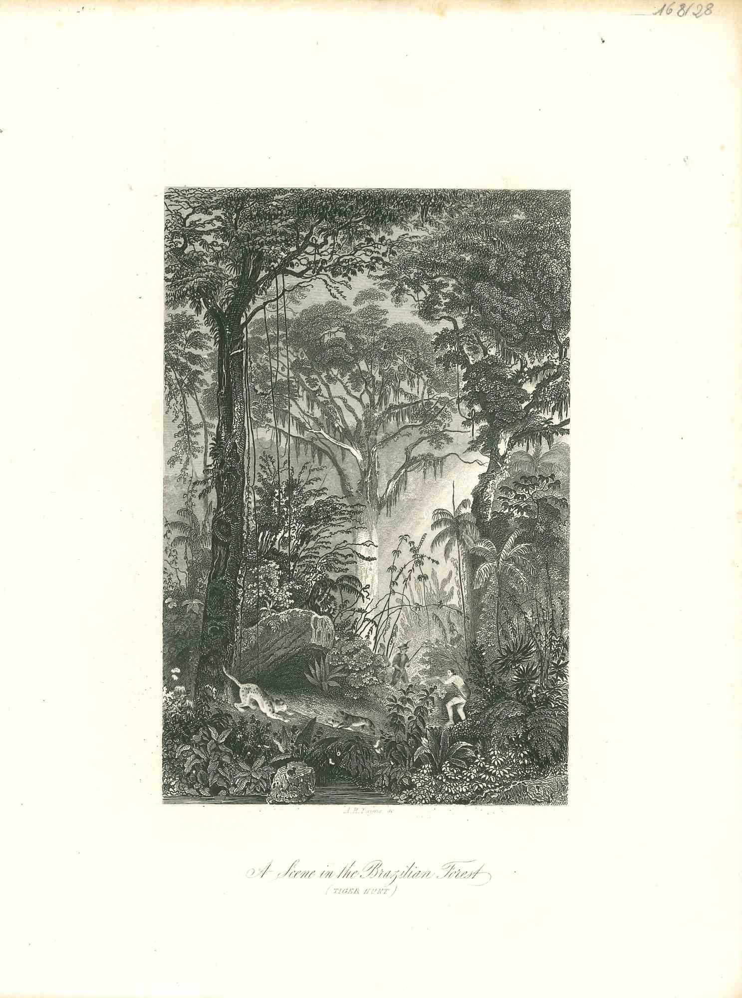 Figurative Print Unknown - Lithographie originale « In the Brazilian Forest » (Dans la forêt du Brésil), début du XIXe siècle