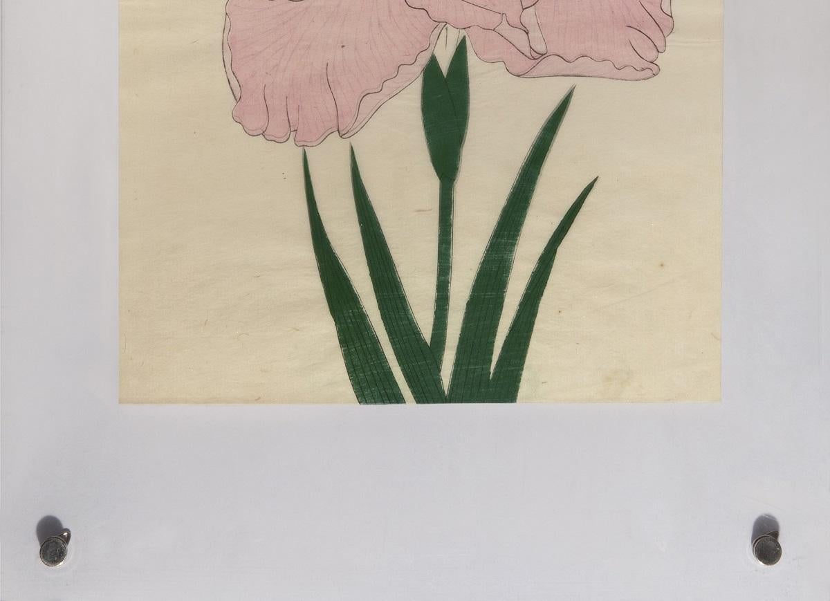 Iris Kaempferi: Nr. 58 SHU-FU-RAKU (Naturalismus), Print, von Unknown