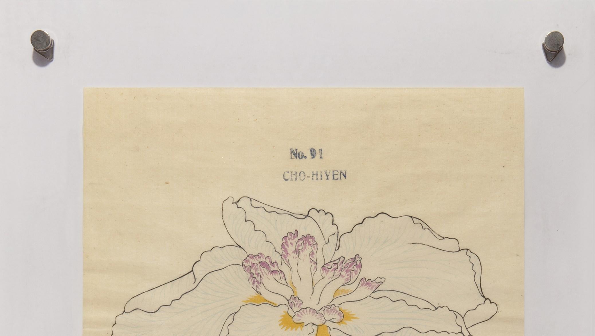 Iris Kaempferi: No. 91 CHO-HIYEN  - Print by Unknown
