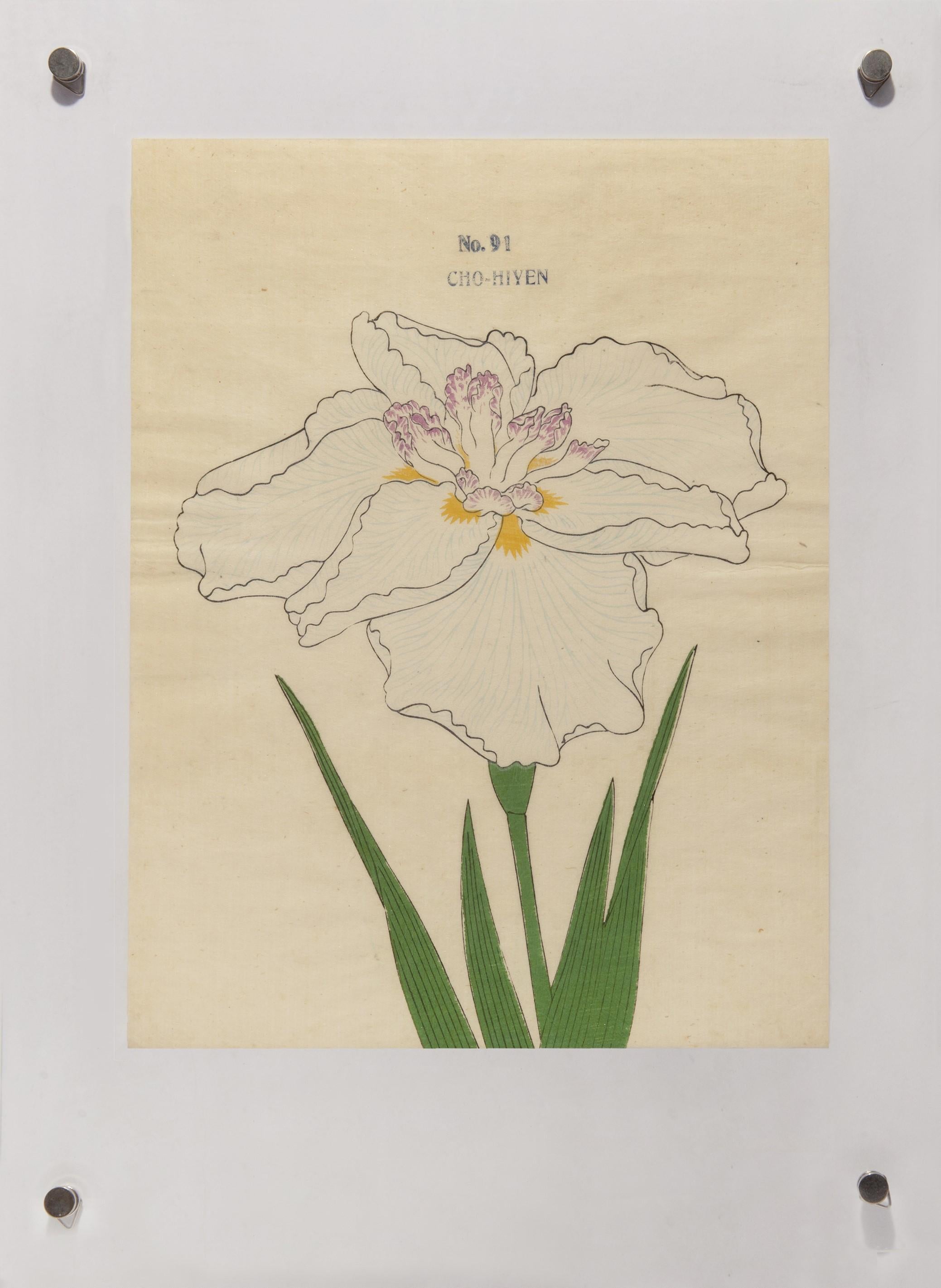 Rice Paper Still-life Prints