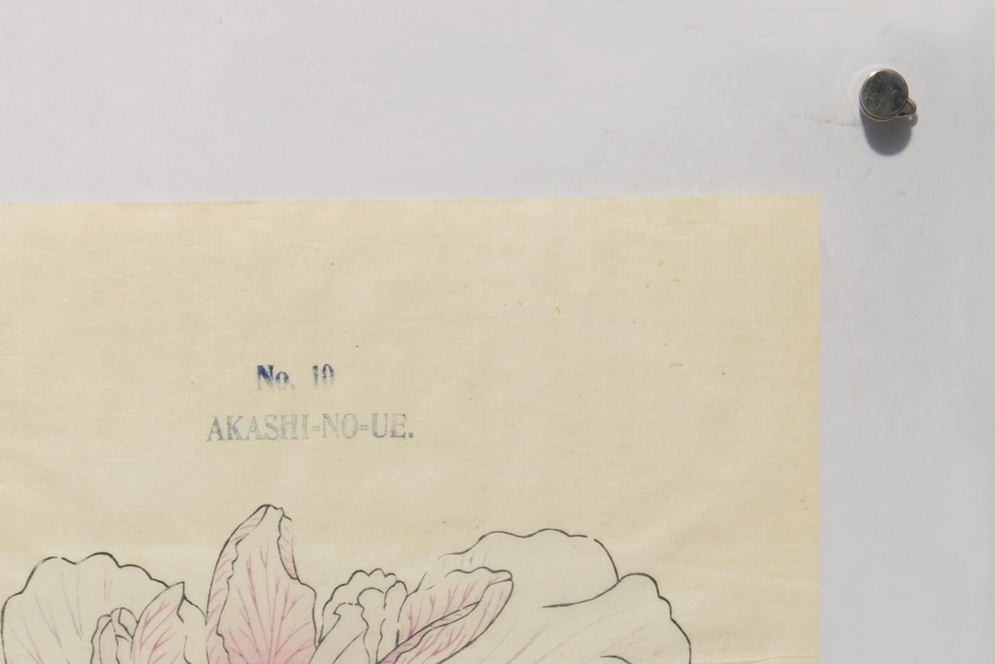 Iris Kaempferi: Nr. 10 AKASHI-NO-UE 
Tokio, Yoshinoen-Garten, um 1910.
Handkolorierter Farbholzschnitt auf handgeschöpftem Reispapier, oben nummeriert und beschriftet,  mit Tinte umrissen.  Gerahmt in Plexiglas. Gesamtgröße: 49 x 36,7 cm. 

Schönes,