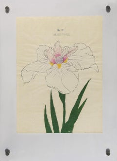 Iris Kaempferi: Nº 10 AKASHI-NO-UE