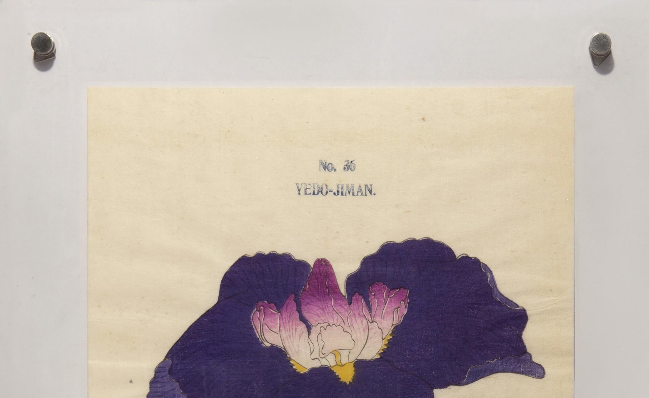 Iris Kaempferi: Nr.36 YEDO-JIMAN  – Print von Unknown